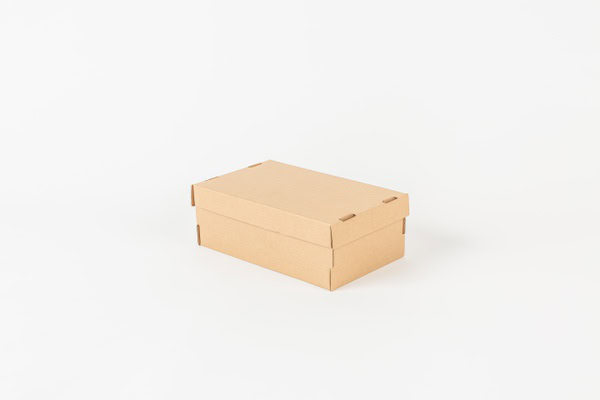 CAJA P/ ZAPATO TAPA INCLUIDA