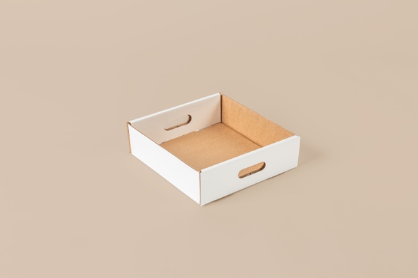 BANDEJA_CUADRADA N°1_28X25X8 CM_BLANCO (copia)