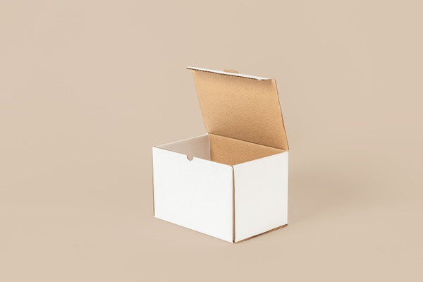 CAJA_TIPO RILAPE_24X16X16 CM_BLANCO (copia)