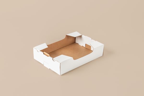 BANDEJA_P/FRUTAS_34X23X8 CM_BLANCO (copia)