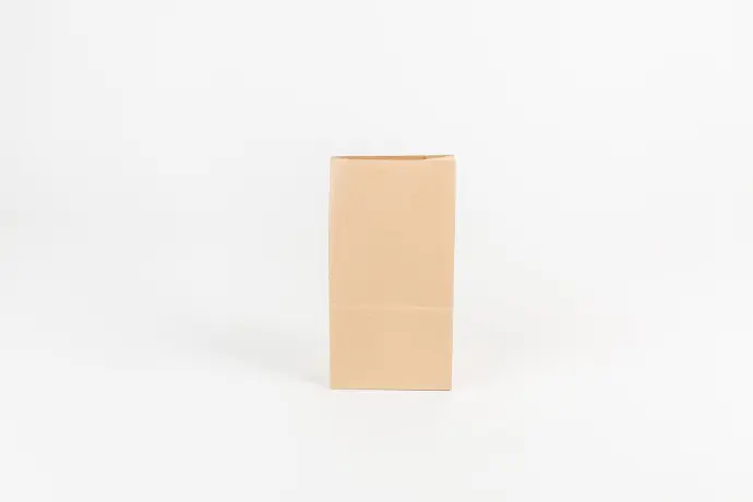 BOLSA_FC #02_18X32,5X12CM_MARRÓN_S/ MANIJA (copia)